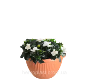 Горщик для квітів, з підставкою, Ø 220, тип 11 (підвісний) 2,5 л Гемопласт